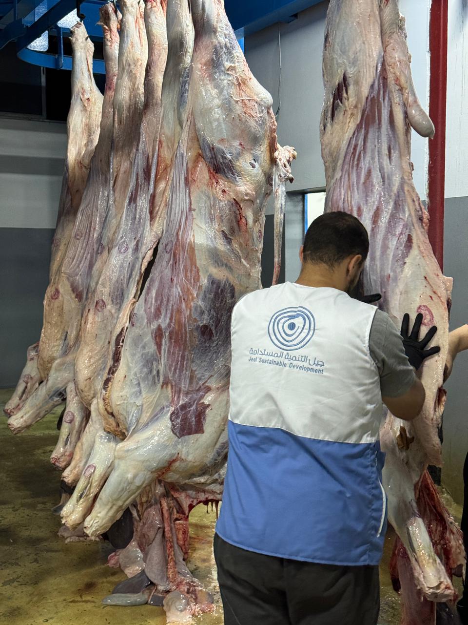 الأضاحي تصل إلى 47 ألف مستفيد في لبنان 